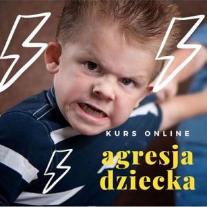 Kurs online "Agresja Dziecka"
